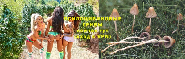 ешки Абаза