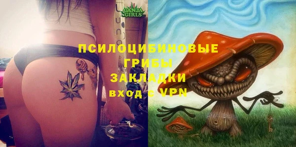 ешки Абаза