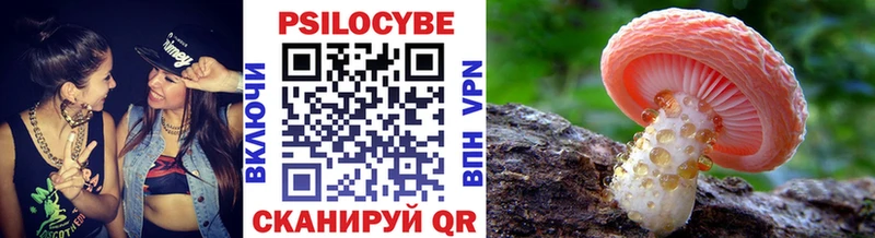 Псилоцибиновые грибы мухоморы  купить наркотики сайты  kraken ONION  Елизаветинская 